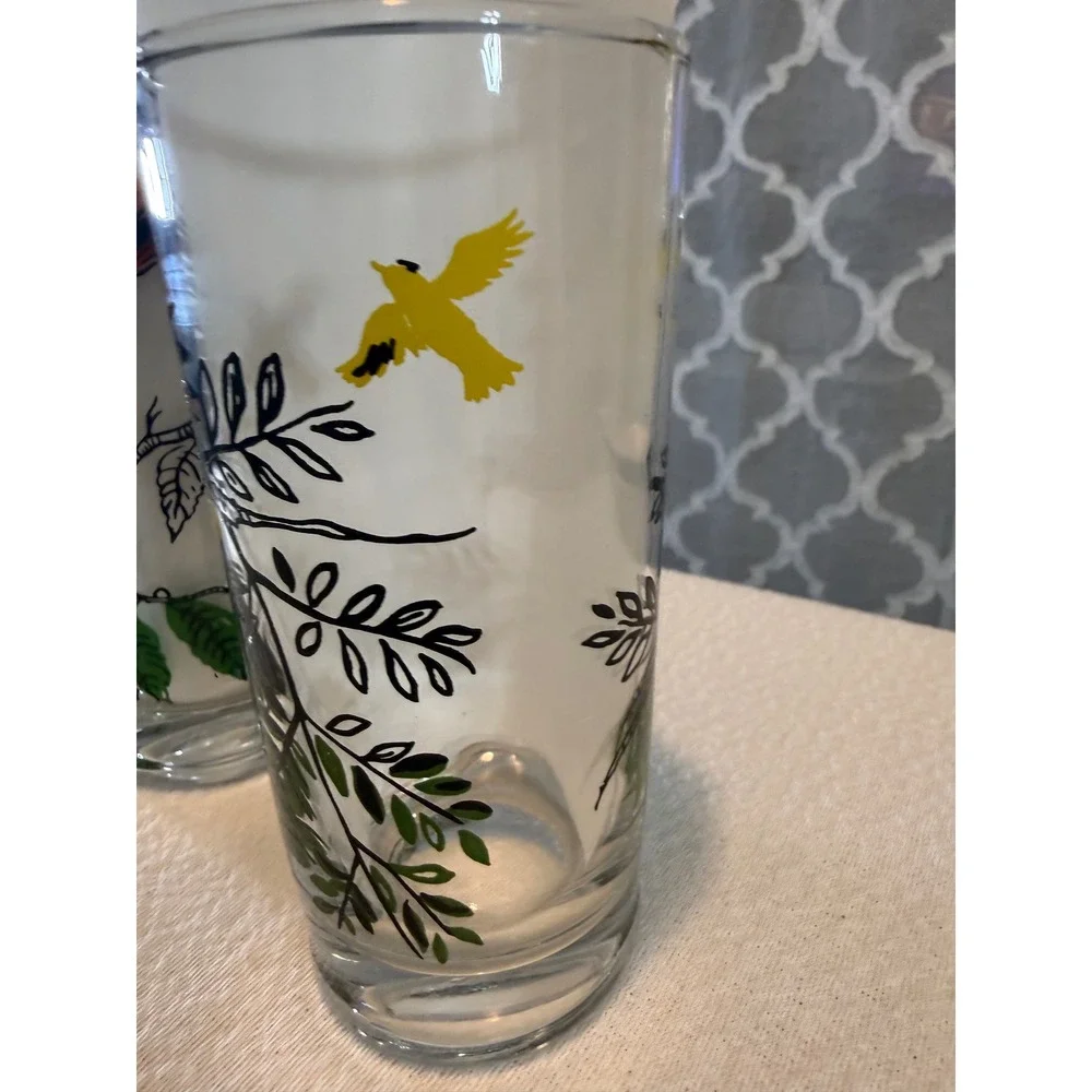 Vintage Bird Drinking Glasses Set of 2 Goldfinch and Oriole Highball Tumblers